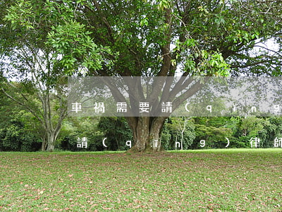 車禍需要請(qǐng)律師嗎(出車禍需要請(qǐng)律師嗎)