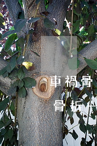 車禍骨折什么時(shí)候得到賠償(車禍骨折一般多久談賠償 律師解答)