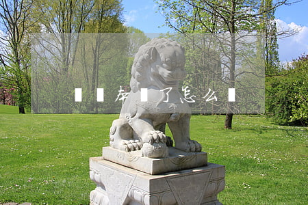 車綠本丟了怎么辦