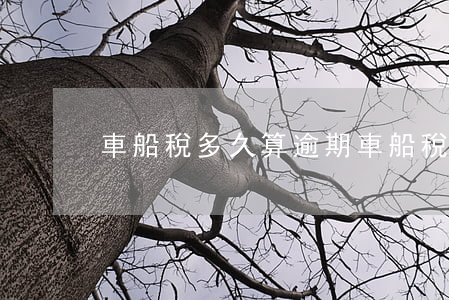 車船稅多久算逾期(車船稅多久算逾期交)