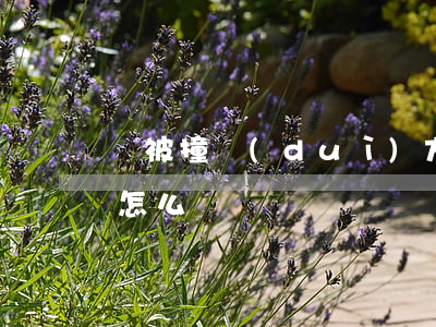 車被撞對(duì)方全責(zé)不賠錢怎么辦