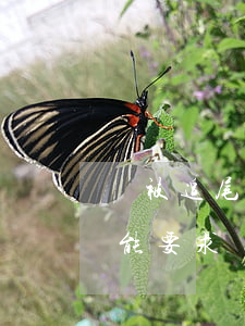 車被追尾了對(duì)方全責(zé)我能要求賠錢嗎(汽車追尾自己全責(zé)怎么賠償)