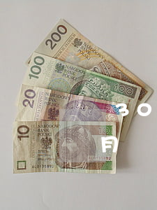 車貸3000違約金一般在多少(逾期車貸兩個月違約金多少錢)