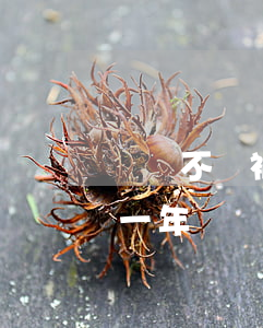 車貸不還被起訴了會(huì)坐牢嗎(車貸一年沒還被告會(huì)坐牢嗎)