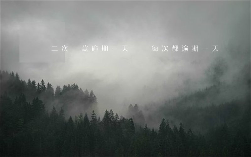 車貸二次貸款逾期一天(車貸每次都逾期一天)