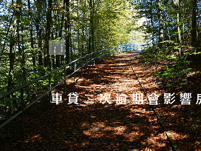 車貸二次逾期會影響房貸(車貸逾期兩次)