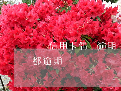 車貸信用卡偶爾逾期-車貸每個(gè)月都逾期