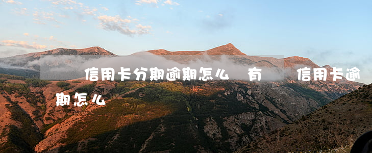 車貸信用卡分期逾期怎么辦(有車貸信用卡逾期怎么辦)