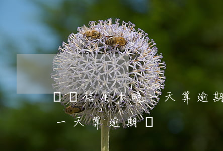 車貸信用卡晚一天算逾期嗎-信用貸款晚了一天算逾期嗎