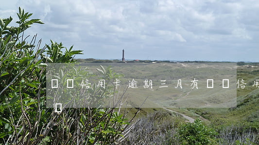 車貸信用卡逾期三月(有車貸信用卡逾期怎么辦)