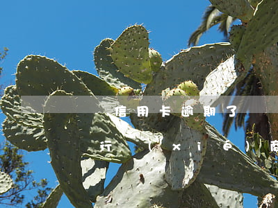 車貸信用卡逾期了(車貸信用卡逾期了怎么跟銀行協(xié)商解決)