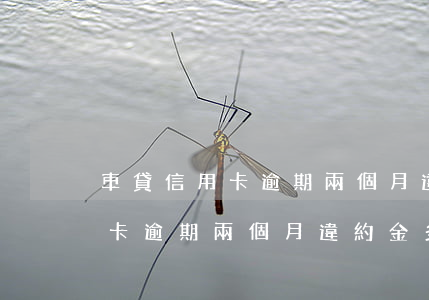 車貸信用卡逾期兩個月違約金多少(車貸信用卡逾期兩個月違約金多少合理)