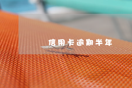 車貸信用卡逾期半年(車貸信用卡逾期半年)