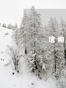 車貸信用卡逾期多久恢復(fù)