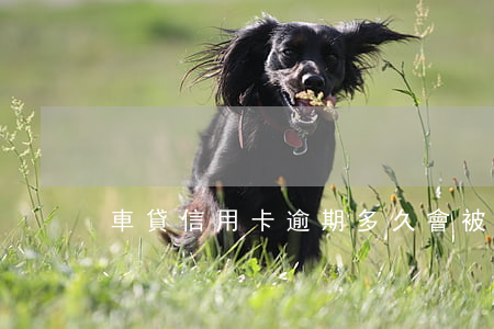 車貸信用卡逾期多久會被起訴