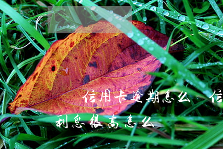 車貸信用卡逾期怎么辦(信用卡辦的車貸逾期利息很高怎么辦)