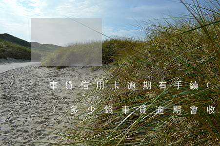 車貸信用卡逾期有手續(xù)費(fèi)多少錢(車貸逾期會收手續(xù)費(fèi)嗎)
