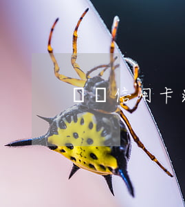 車貸信用卡逾期未還會提醒嗎