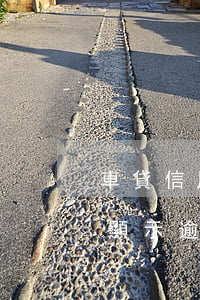 車貸信用卡逾期沒處理 車貸沒有逾期 為什么顯示逾期
