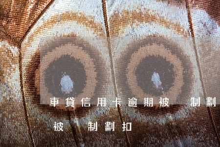 車貸信用卡逾期被強制劃扣(車貸信用卡逾期被強制劃扣)