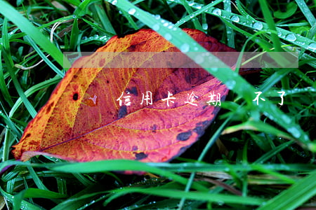 車貸信用卡逾期辦不了