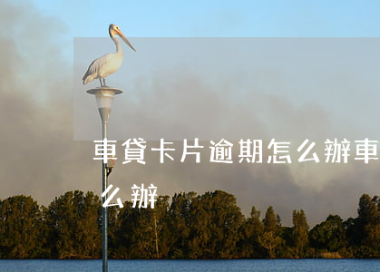 車貸卡片逾期怎么辦(車貸一不小心逾期了怎么辦)