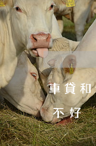車貸和信用卡欠5萬工資(用工資卡還車貸好不好)