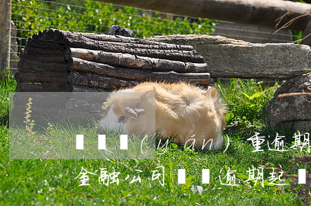 車貸嚴(yán)重逾期發(fā)律師函(金融公司車貸逾期起訴)