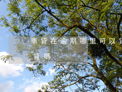車貸在逾期哪里可以貸款(貸款有逾期能辦車貸嗎)