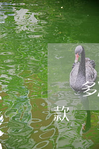 車貸多次逾期算黑戶嗎(黑戶當前逾期可以貸款買車嗎)