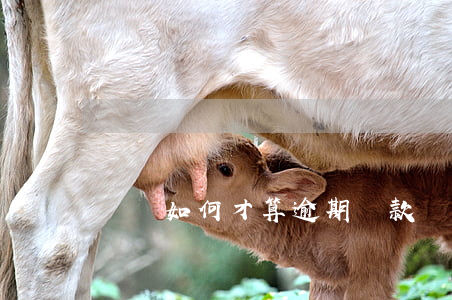 車貸如何才算逾期還款