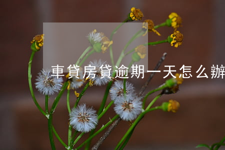 車貸房貸逾期一天怎么辦