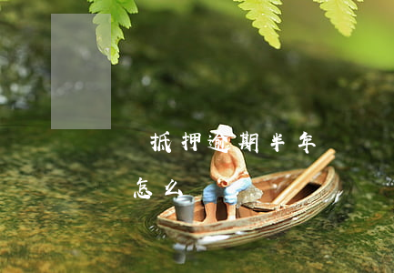 車貸抵押逾期半年沒還(車貸抵押逾期半個月會怎么樣)