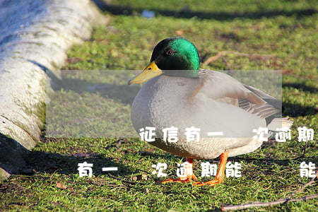 車貸時征信有一兩次逾期能帶嗎(車貸時征信有一兩次逾期能帶嗎能貸款嗎)