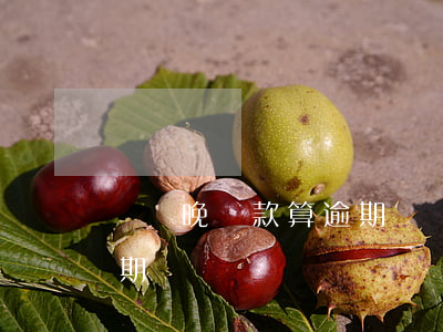 車貸晚還款算逾期嗎(車貸晚還幾個小時算逾期嗎)