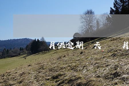 車貸月供逾期兩天(車貸月供逾期兩天)