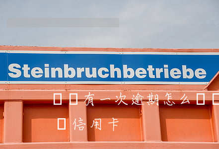 車貸有一次逾期怎么辦(車貸有一次逾期怎么辦信用卡)