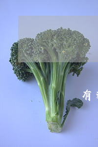 車貸有逾期會影響信用卡(信用卡有欠款影響車貸嗎)