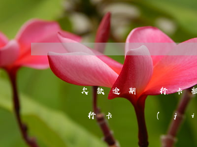 車貸欠款逾期 銀行卡被凍結(jié)(欠車貸銀行卡凍結(jié)了怎么辦)