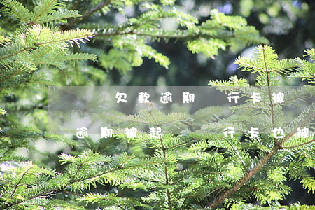 車貸欠款逾期銀行卡被凍結(jié)(車貸逾期被起訴銀行卡也被凍結(jié))
