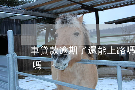 車貸款逾期了還能上路嗎(有逾期有車能貸款嗎)