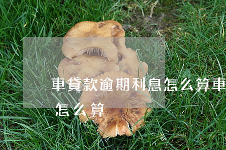 車貸款逾期利息怎么算(車貸逾期半年違約金怎么算)