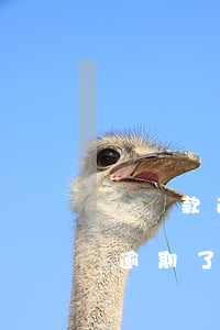 車貸款逾期怎么協(xié)商(車抵押貸款逾期了可以協(xié)商嗎?)