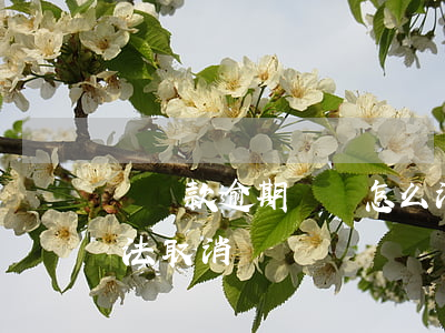 車貸款逾期記錄怎么消除(車貸逾期記錄有辦法取消嗎?)