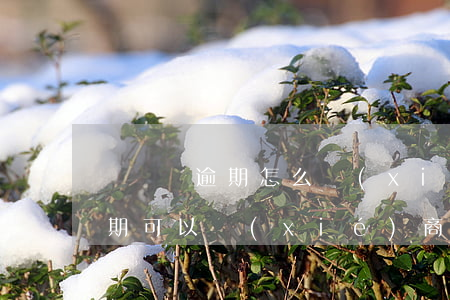 車貸沒逾期怎么協(xié)商還款(車貸逾期可以協(xié)商只還本金嗎)