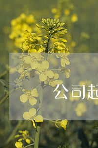 車貸沒還了車貸公司起訴了怎么辦(車貸擔保公司起訴我,我沒錢還怎么辦)