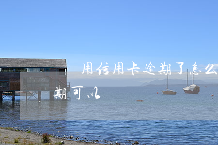 車貸用信用卡逾期了怎么辦(車貸有信用卡逾期可以貸嗎)