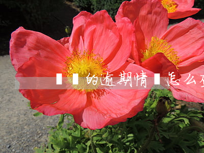 車貸的逾期情況怎么查-怎么查詢車輛逾期