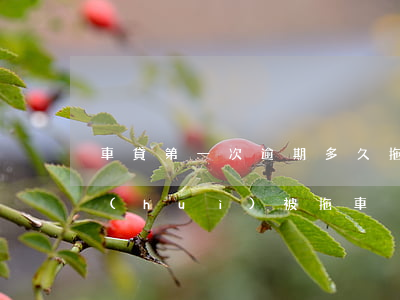 車貸第一次逾期多久拖車 貸款車逾期多久會(huì)被拖車