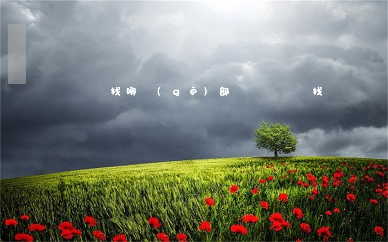 車貸糾紛找哪個(gè)部門(車貸問題找誰)